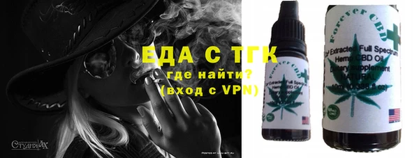 индика Абаза