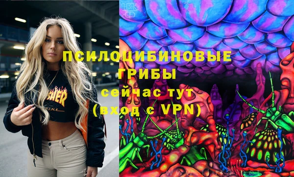 стафф Абинск