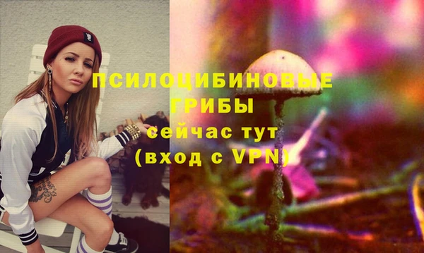 бошки Магас