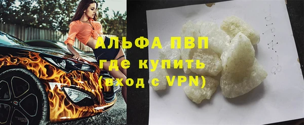 индика Абаза