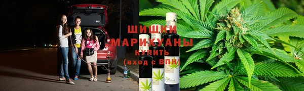 тгк Алзамай