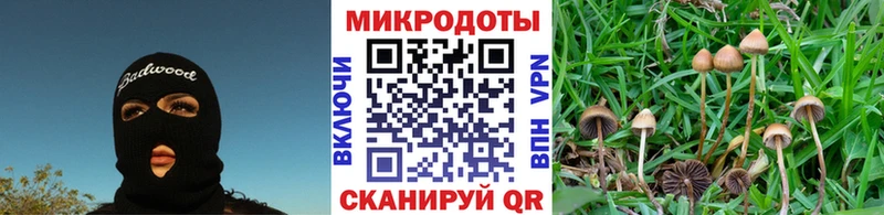 Псилоцибиновые грибы прущие грибы Мамадыш
