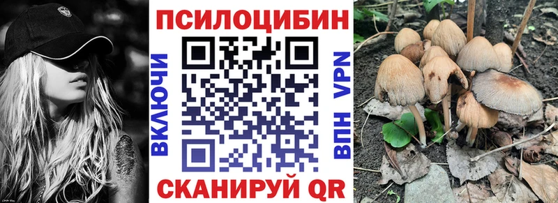 Псилоцибиновые грибы мицелий что такое наркотик MEGA онион Мамадыш